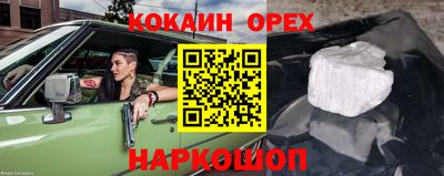 apvp Канаш