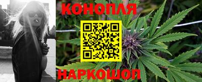 apvp Канаш